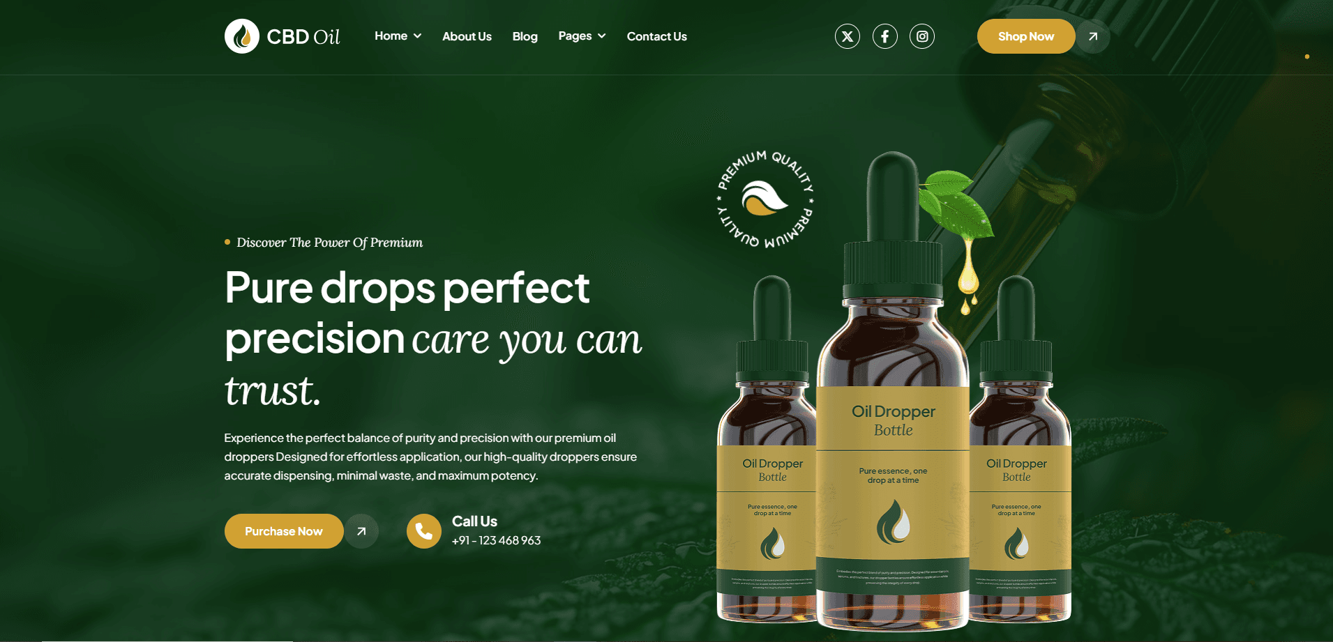 Portfolio sample 5